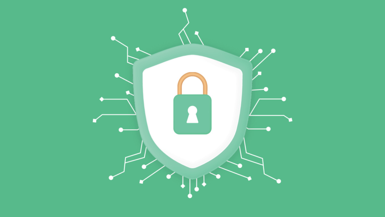 iofbodies.com Privacy: Your Data, Your Control